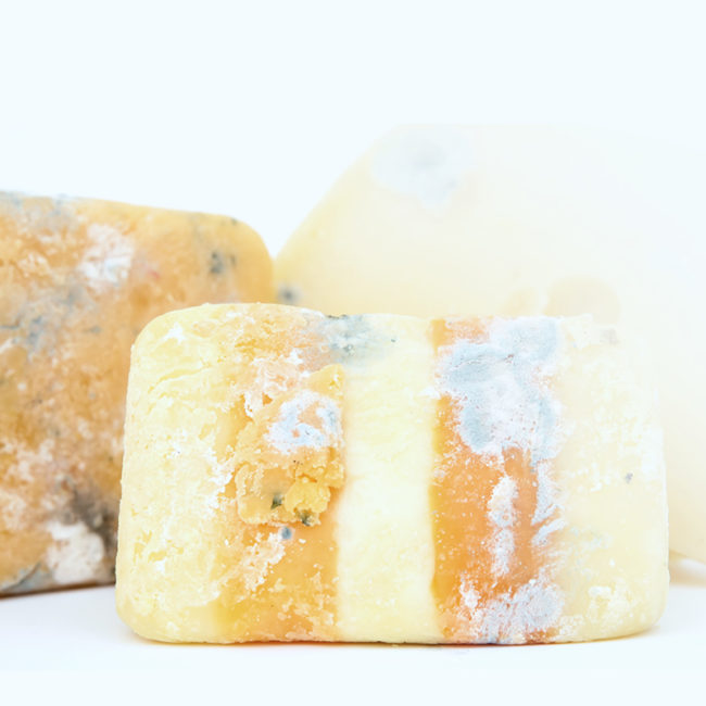 Mold Cheese